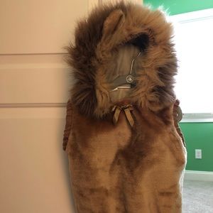 Baby Lion Costume